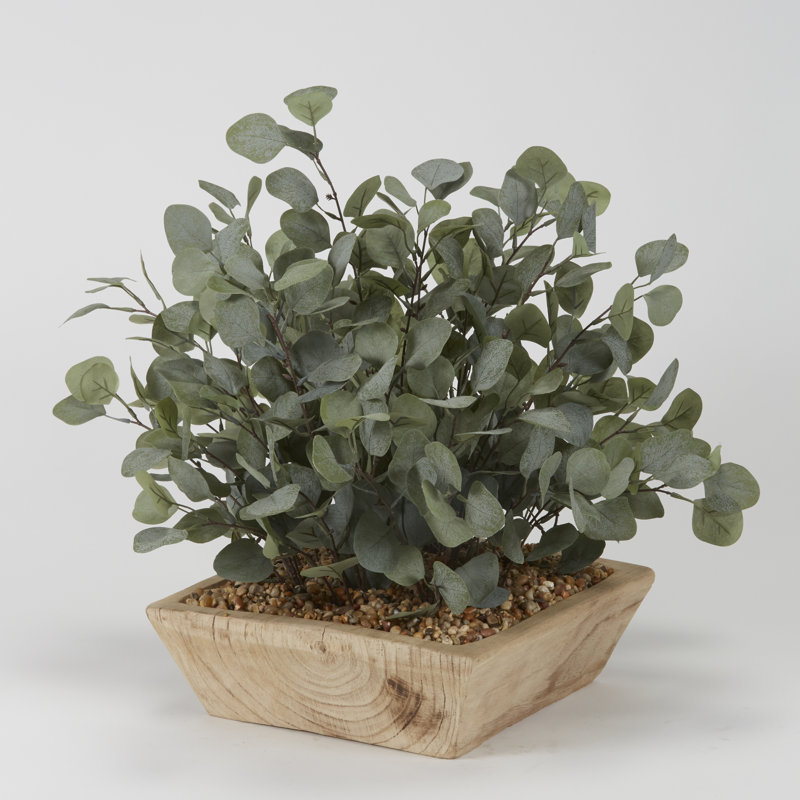 Eucalyptus dans un bol carré en bois