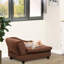Moderne pour petits chiens, coffre caché, coussin en mousse de 3 po, petit lit pour chien brun avec rangement, mobilier, confortable,