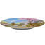 Assiette décorative en porcelaine faite à la main