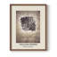 William Morris, reproduction encadrée Lxxxi-100461742-100461745