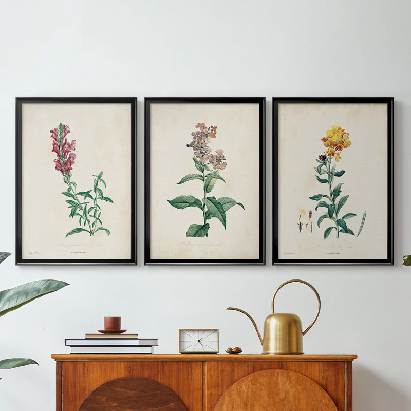 Traditional Botanical I - Toile tendue avec châssis sur mesure - 3 pièces, H 21 po x l 30 po