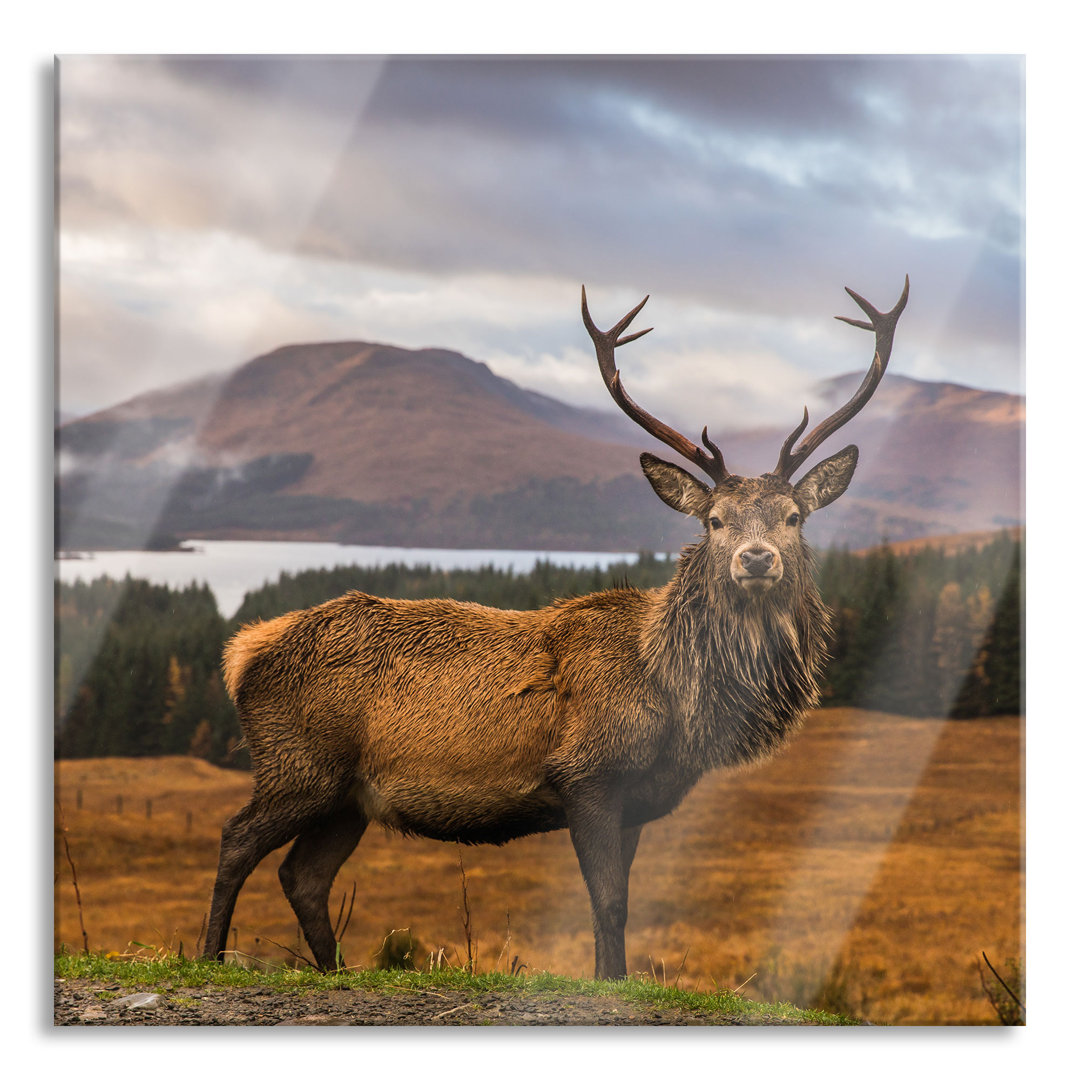 Glasbild Hirsch in atemberaubender Landschaft