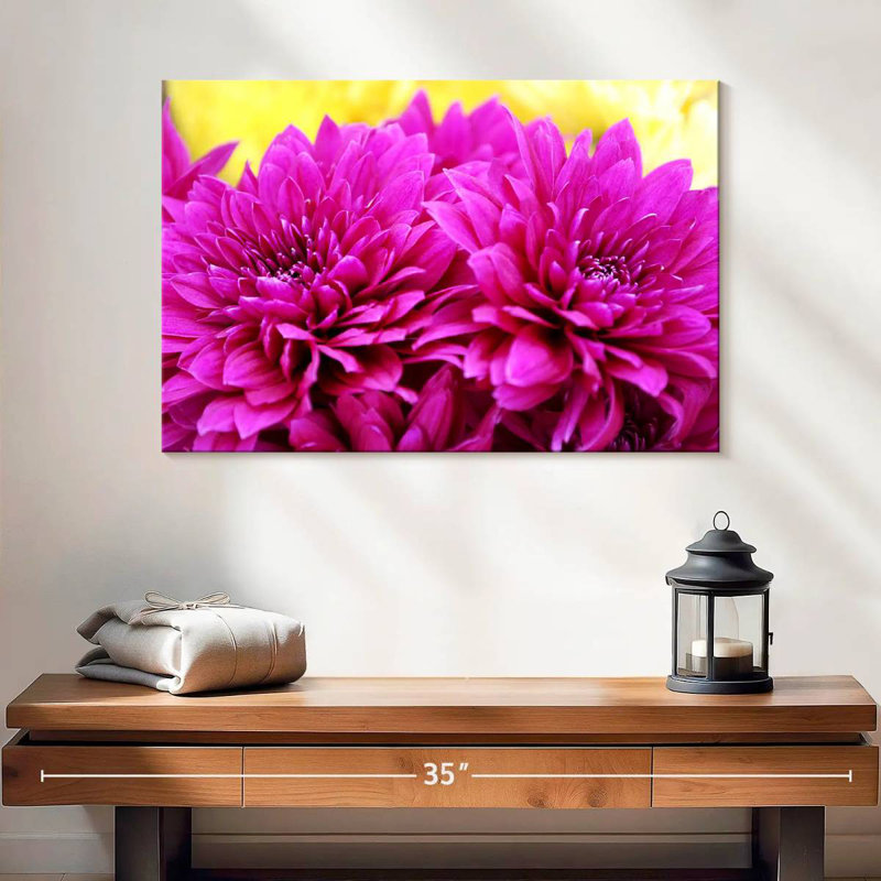 Harnek Hot Pink Mums, H 16 po x l 24 po