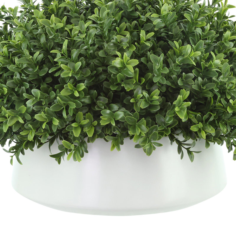 Faux Boxwood Plant in Ceramic Pot, 13"H x 21"W x 21"W