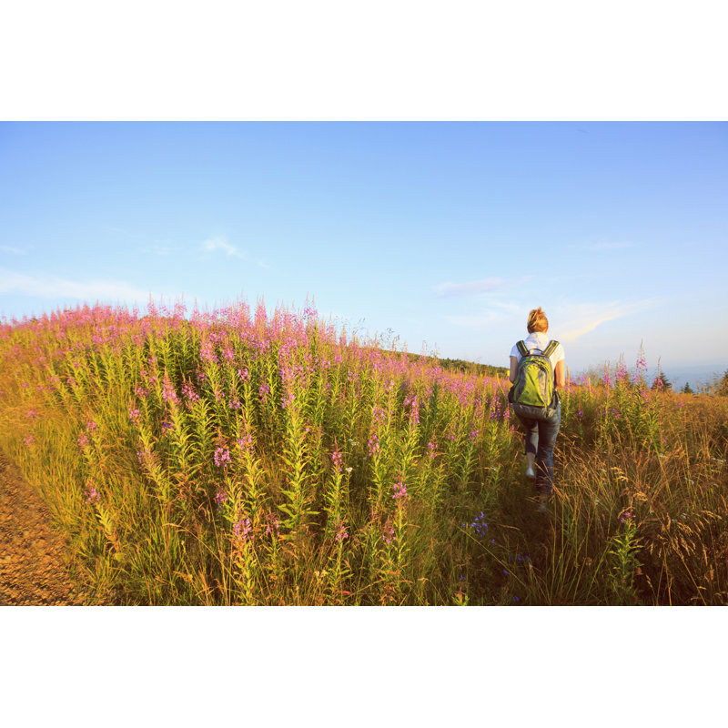 Wild Wild Alpine Meadow par Ultramarinfoto