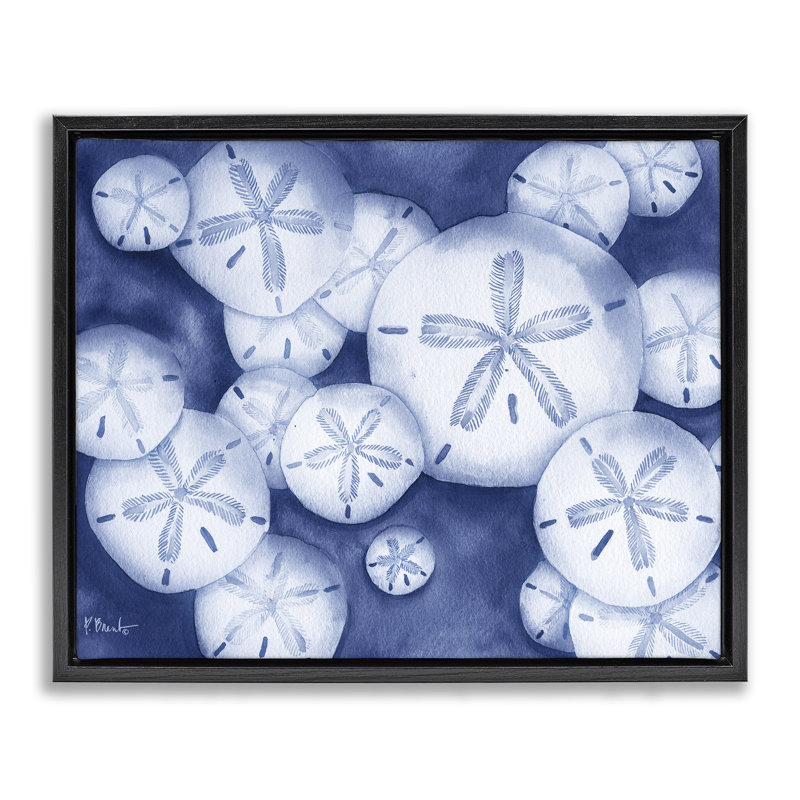 Cadre flottant Watercolor Style Sand Dollars, design par Paul Brent, Cadre flottant noir de jais, H 17 po x l 21 po