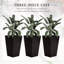 Grands pots à fleurs de 3, trous de drainage, extérieur pour terrasse, entrée intérieure, brun, l 14,31 po x H 24 po, jardin en polypropylène