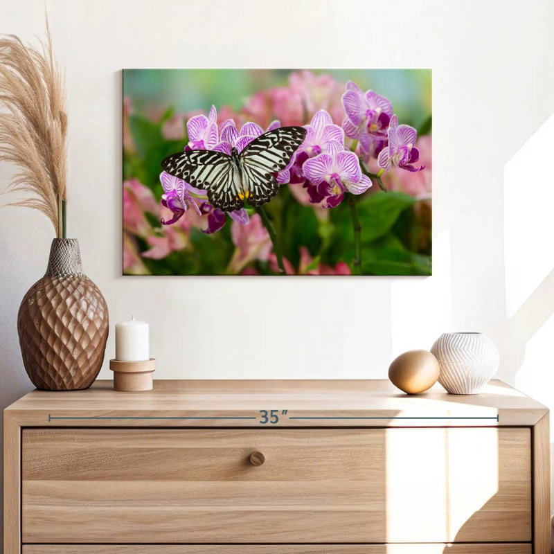 Brampt Malayan Zebra Butterfly, 16'' H x 24'' W