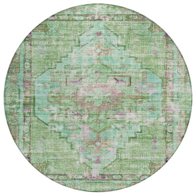 Machine Washable Indoor/Outdoor Xhevrie Aloe Rug