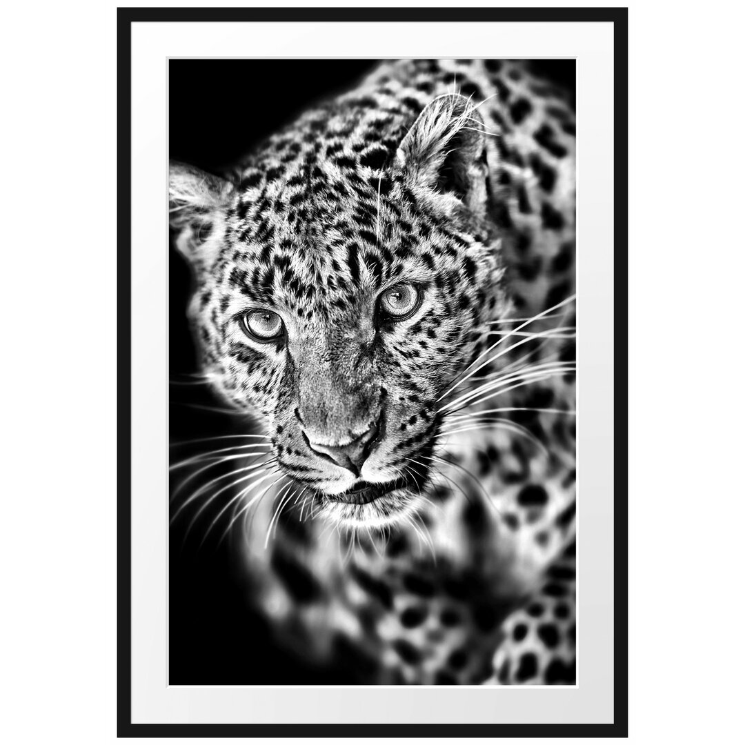 Anmutiger Leopard Gerahmter Kunstdruck Poster