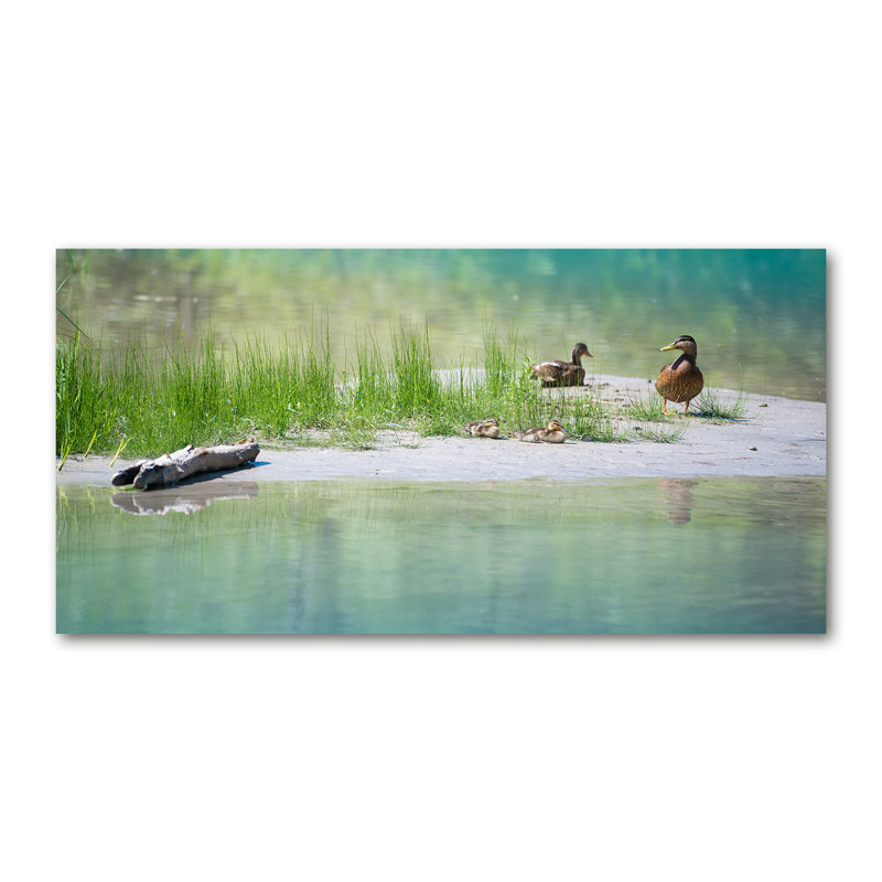 Ducks Above The Water - Print, 70cm H x 140cm W x 2cm D, Wrapped Canvas