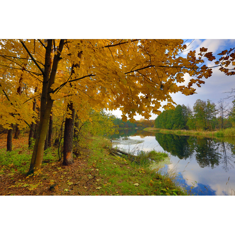 Vecchio Autumn Scene On River - Wrapped Canvas Print, 30cm H x 46cm W x 3.8cm D