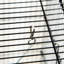 Cage à oiseaux en métal noir pour perroquets - Volière spacieuse avec support amovible, espace de rangement et perchoirs - Zone de plaisir alimentaire pour perroquets de 114 cm