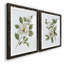 «Magnolia Morning I», reproduction encadrée de qualité supérieure - prête à être accrochée-152898337-152898351