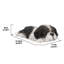 Statue de couchage chiot shih tzu