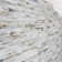 Matchstix Multicolor Glass Polished Mosaic Tile