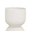 Antrione Pot Planter-133742703