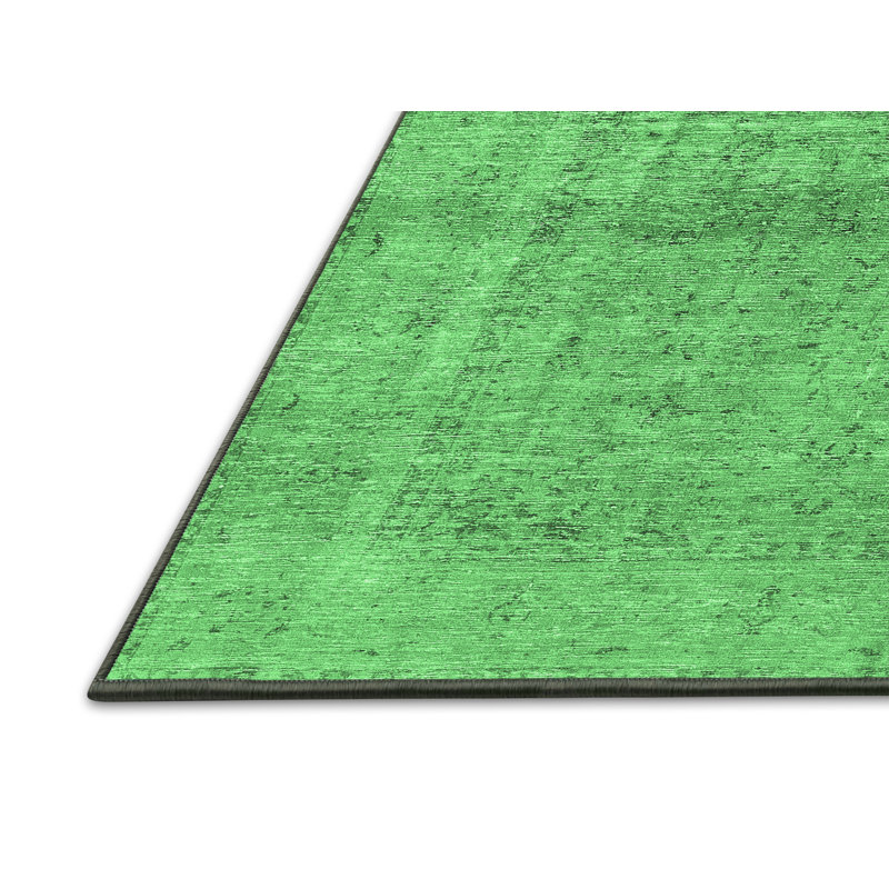 Eedie Oriental Indoor Rug