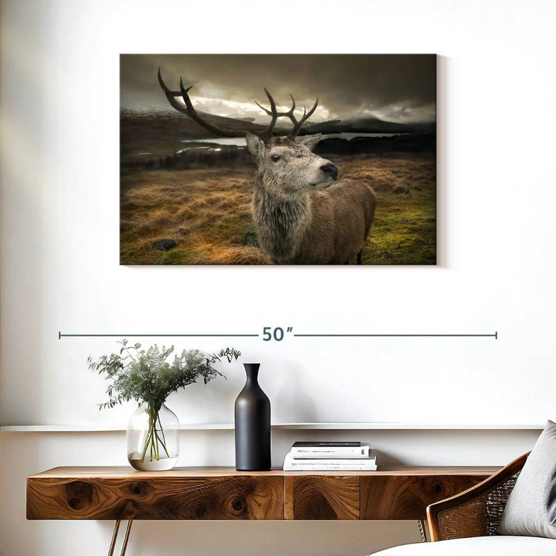 Cerf Bramogène, H 24 po x l 36 po