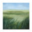 Bolognaise "Tall Grass Plains I" sur toile-98248806