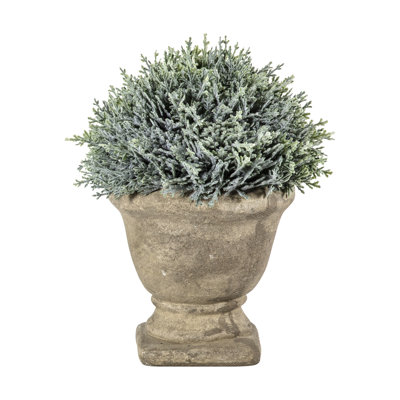 18cm Faux Cypress Tree in Urn