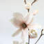 Magnolia Faux Floral