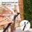 Hammock with Stand