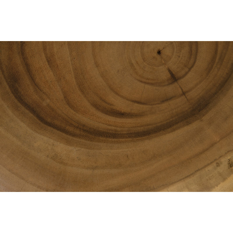 Contemporary Chamcha Wood Round Accent Stool with Black Metal Legs