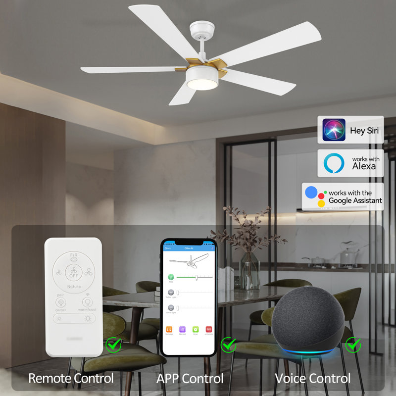 Emryck 52'' Ceiling Fan with LED Lights