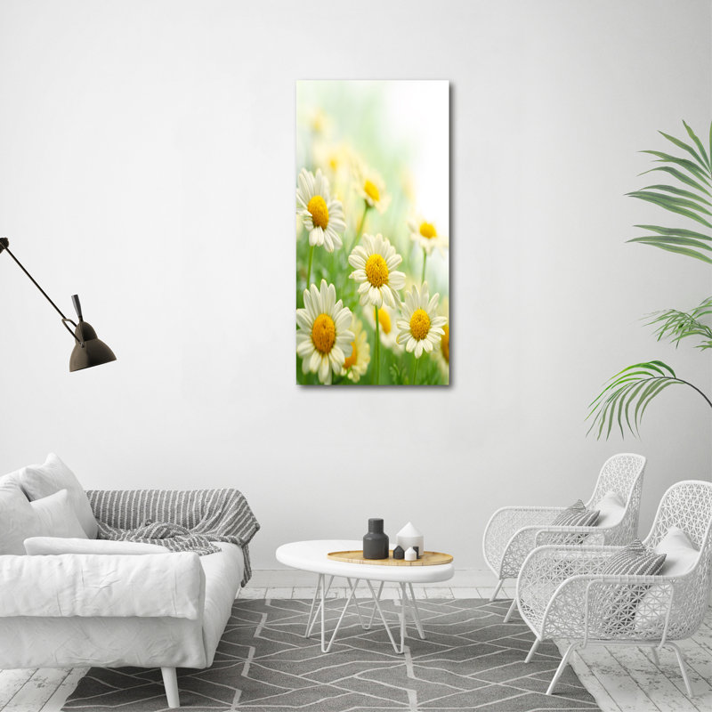 Daisies - Wrapped Canvas Print