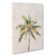 Cuban Palm Tree - Wrapped Canvas-56641766