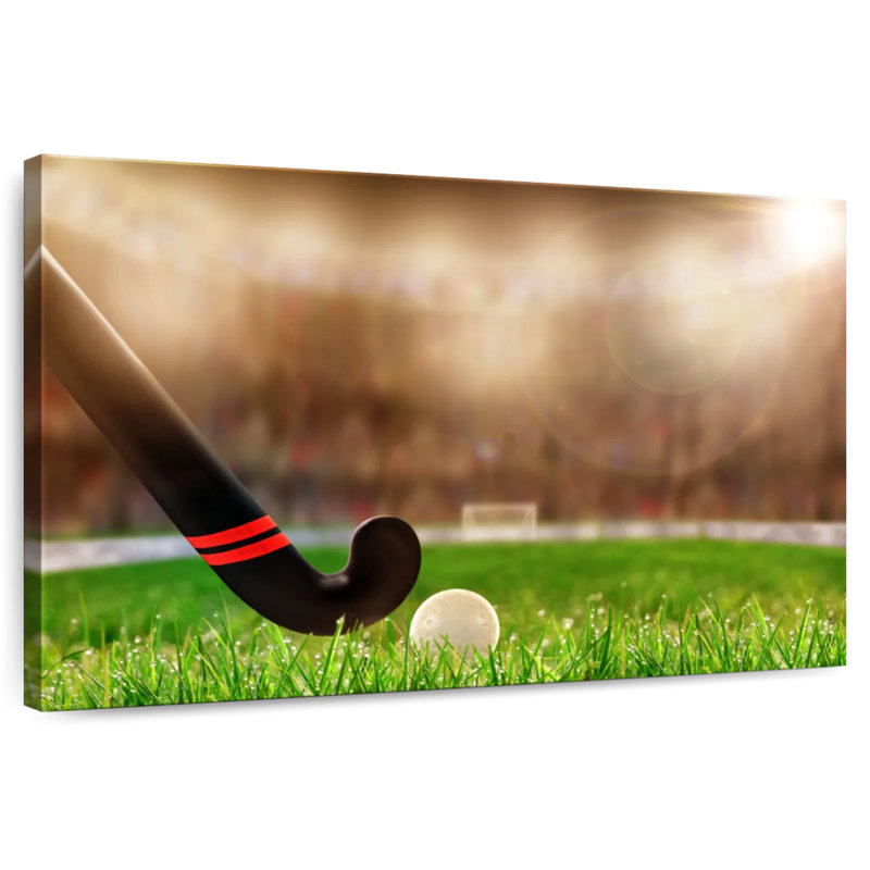 Hockey sur gazon Sirci au stade, H 26 po x l 39 po