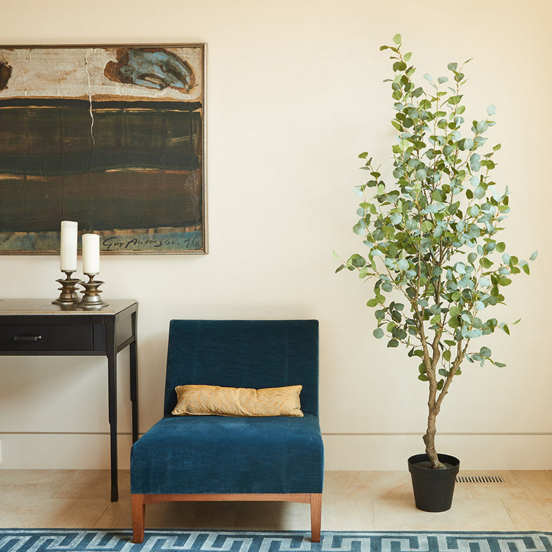 TREE EUCALYPTUS GROWER 7FT
