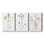 Pressed Botanical I - Ensemble de 3 reproductions sur toiles tendues-578238686