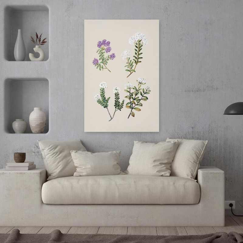 «Veronica 4 Species Drawn» par Sarah, art mural rétro contemporain abstrait, H 36 po x l 24 po