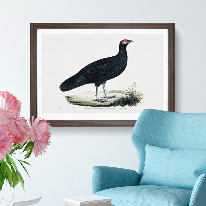 Pheasant by John Edward Gray - Picture Frame Painting Print, 48cm H x 65cm W x 2cm D, Walnut Framed