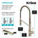 Oletto 2-in-1 Pull-Down Single Handle Kitchen Faucet