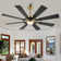 Antoinesha Ceiling Fan with LED Lights