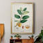 Turpin Tropical Botanicals V, reproduction d'art encadrée-88436653-88436658
