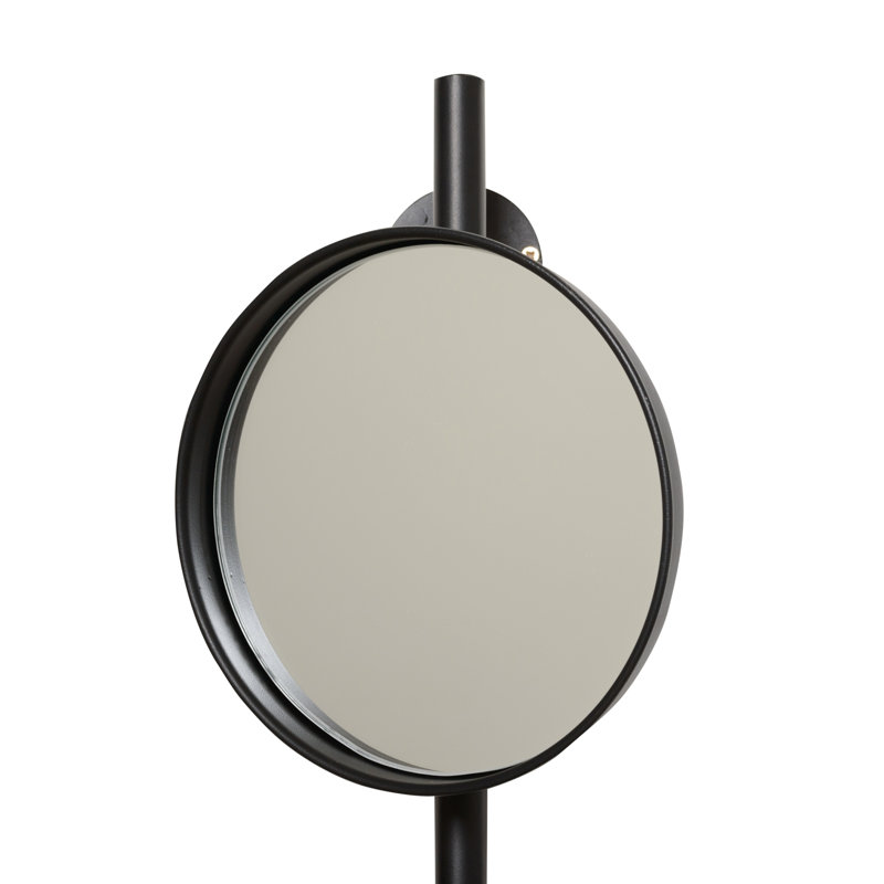 Dillard Metal Wall Mirror with Shelves