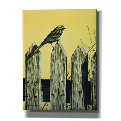 " Picket Fence " by Ron Parker