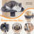 70" Tomaso Multi Level Cat Tree-469449573