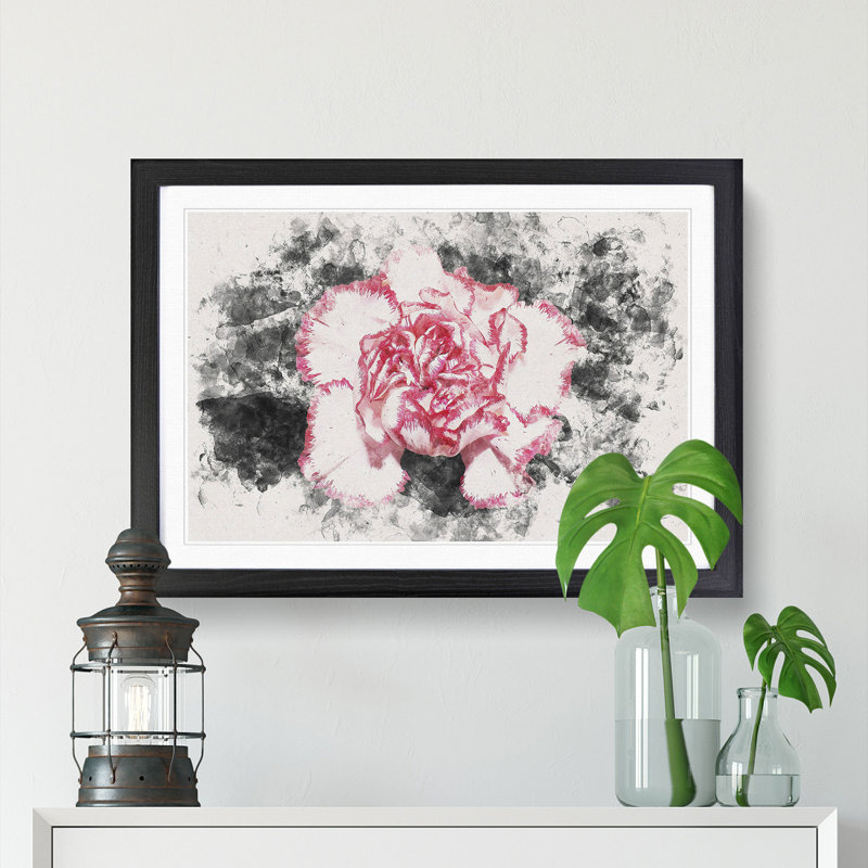 Pink Carnation Flower - Framed Print, 33cm H x 45cm W x 2cm D, Black Framed