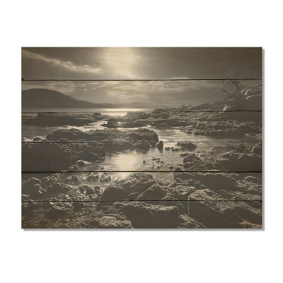 «Black and White Rocky Beach - Coastal Coral Under Water Wood», art mural sur bois de pin naturel
