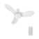 36" 3 - Blade LED Standard Ceiling Fan with Remote Control and Light Kit Included