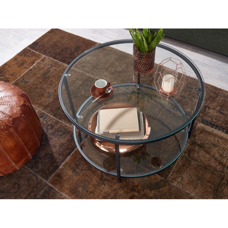 Shawnita Frame Coffee Table with Storage