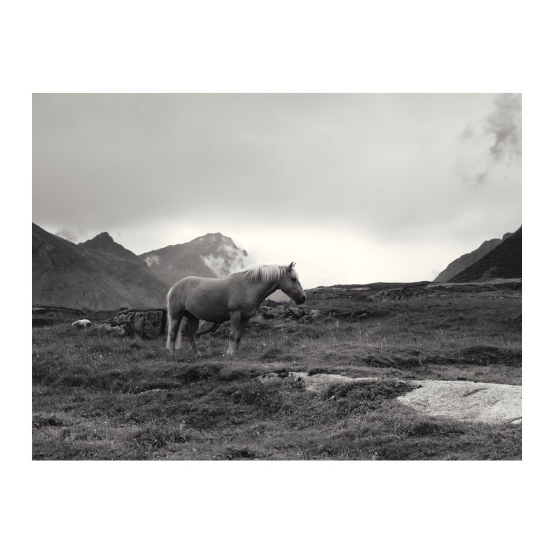 Andreas Stridsberg - No Frame Print, Canvas