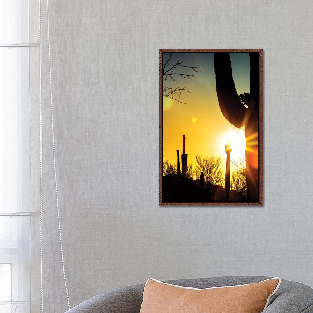 Saguaro Cactus Silhouette At Colorful Sunrise von Susan Richey - Gallery-Wrapped Canvas Giclée