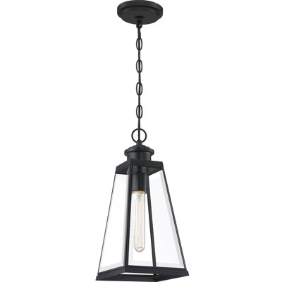 Lanterne suspendue d’extérieur 1 lampe noir mat Bednar