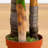 Areca Palm Tree with Real Touch Leaves